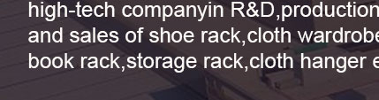 shoe rack,shoe cabinet