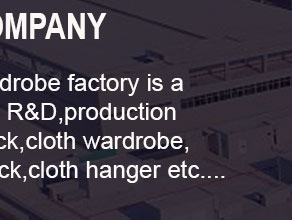 plastic shoe rack,plastic wardrobe